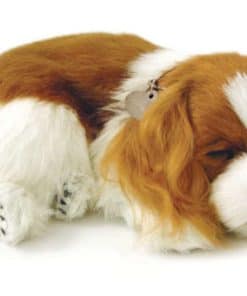 Perfect Petzzz - Peluche del Cavalier King Charles 100%