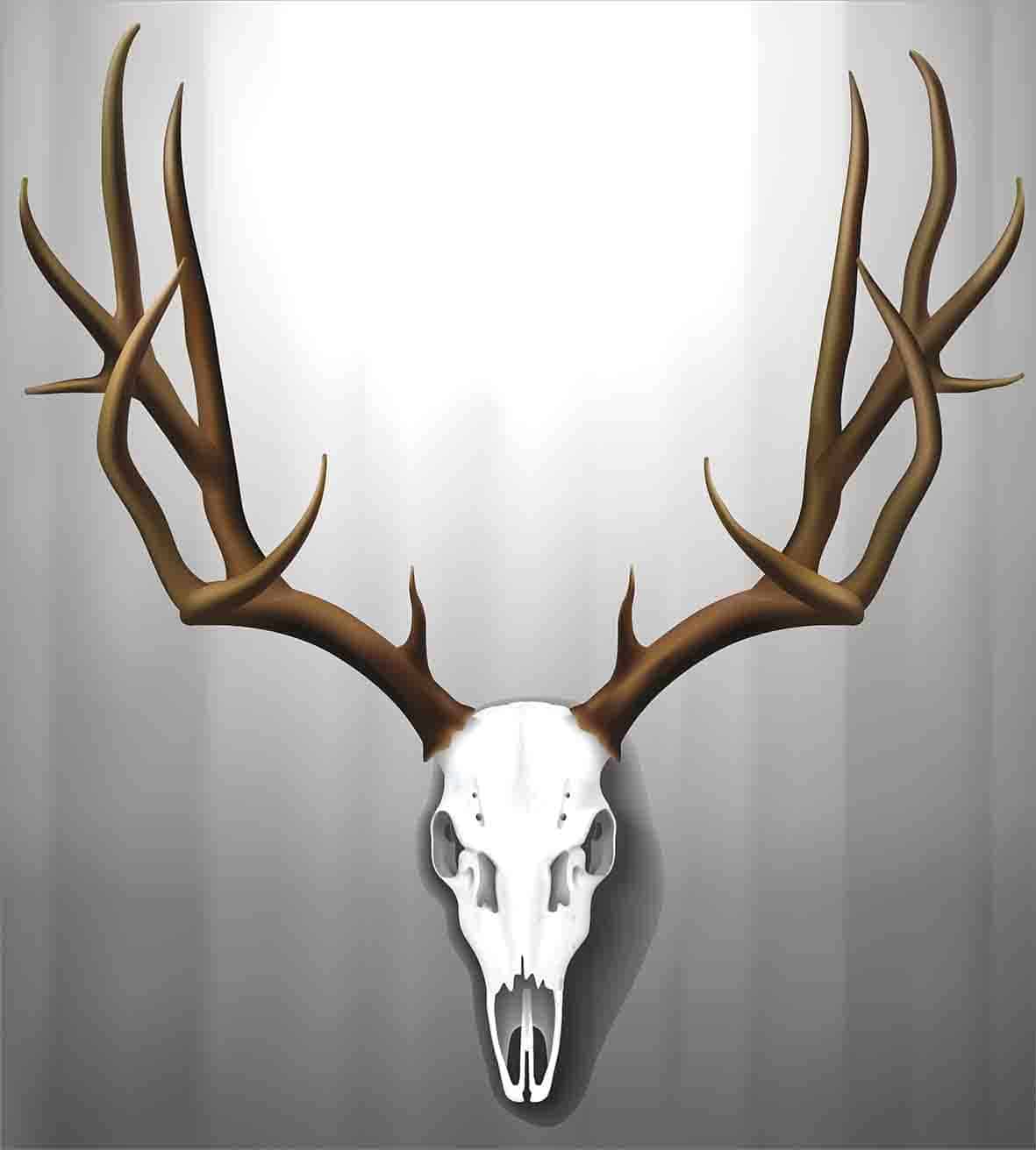 Funda nórdica Ambesonne Antler, Realista cráneo de ciervo - Imagen 3