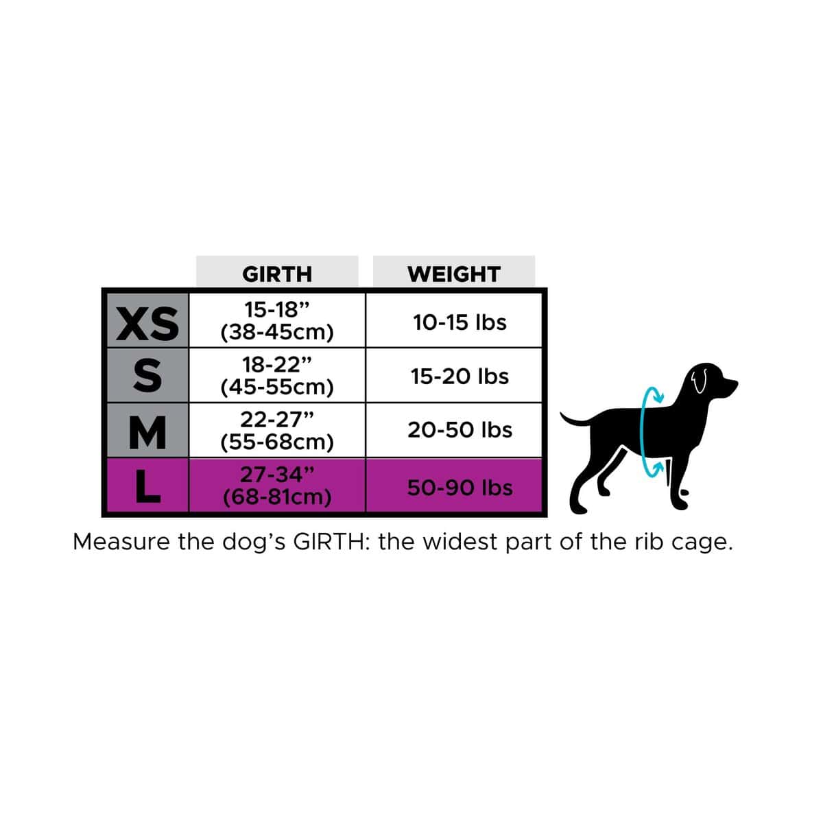 Chaleco y Collar de Enfriamiento para Perros CoolerDog - - Imagen 8