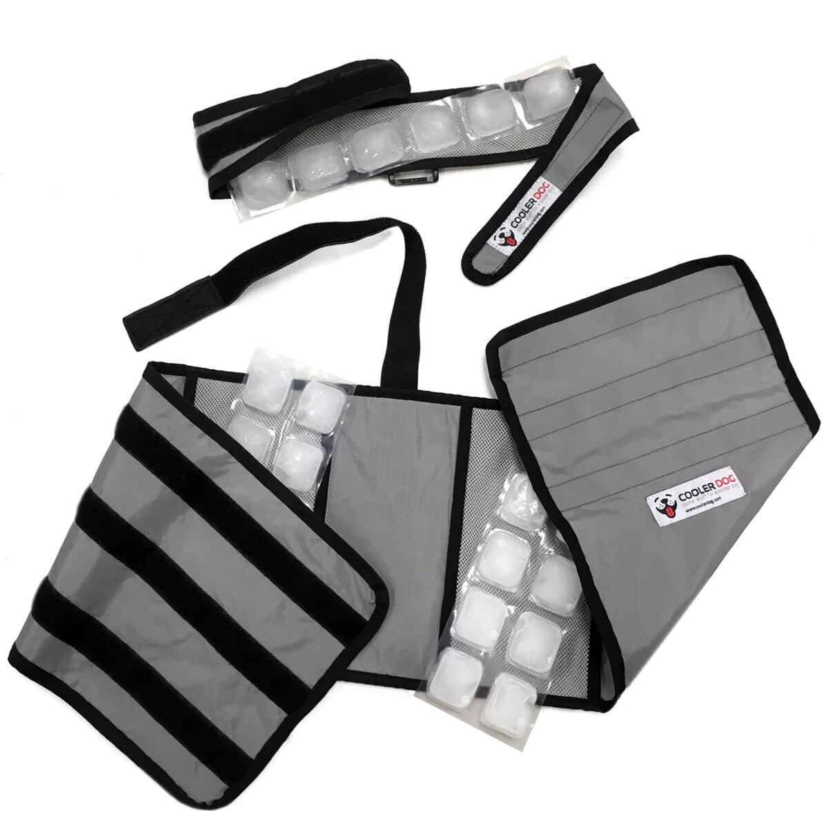 Chaleco y Collar de Enfriamiento para Perros CoolerDog - - Imagen 3