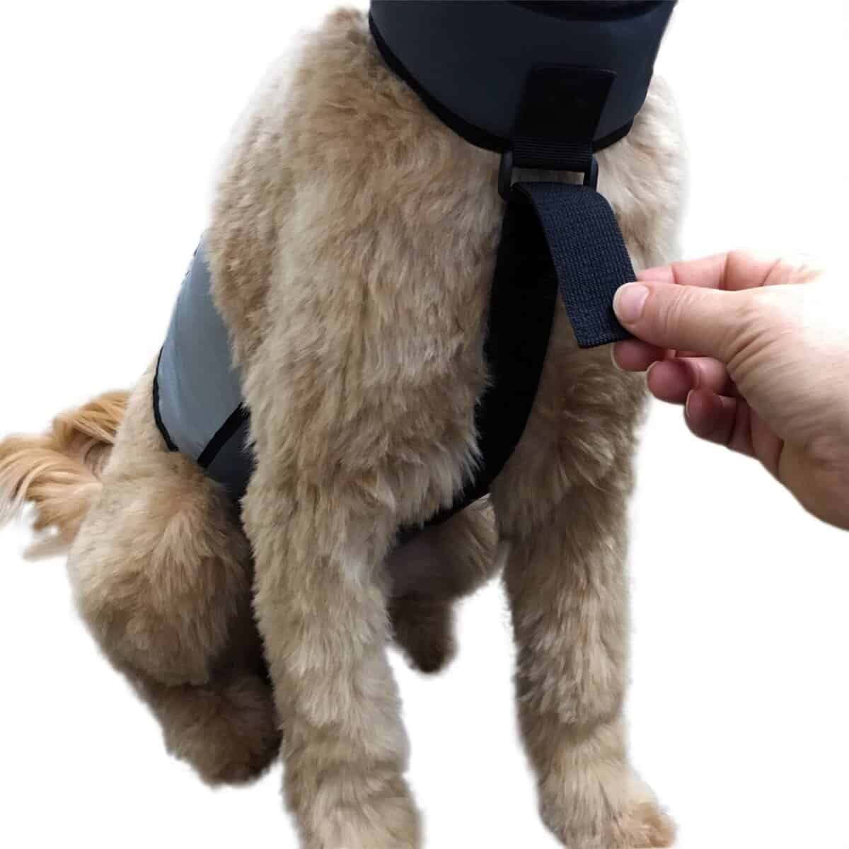 Chaleco y Collar de Enfriamiento para Perros CoolerDog - - Imagen 4