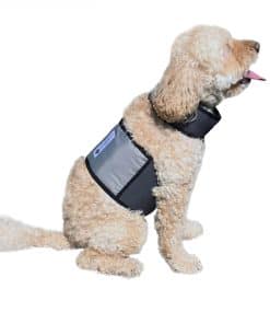 Chaleco y Collar de Enfriamiento para Perros CoolerDog -