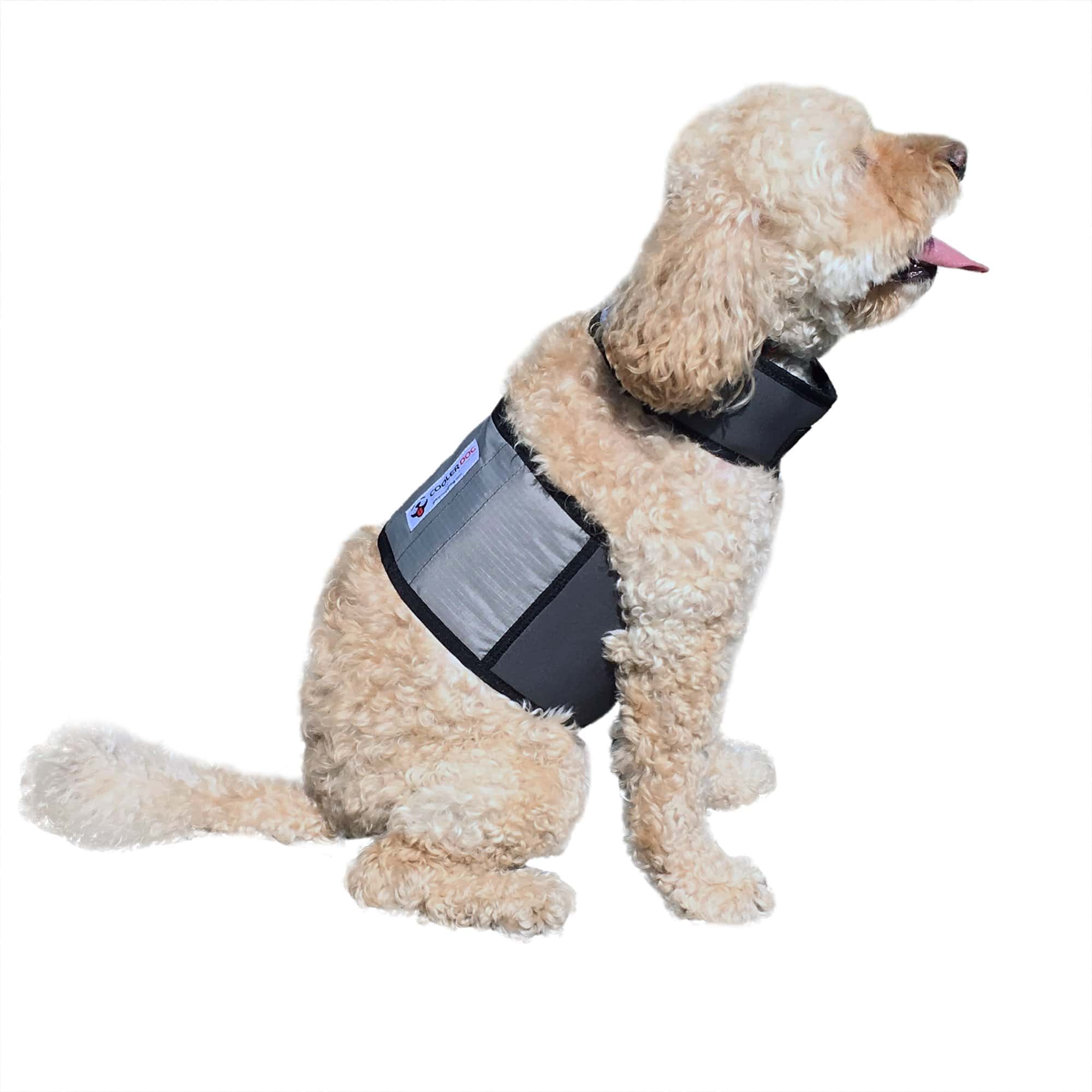 Chaleco y Collar de Enfriamiento para Perros CoolerDog -