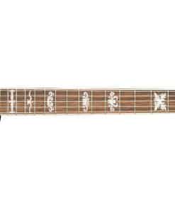 Banjo Washburn Americana B10, Gloss Sunburst