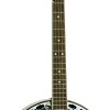 Banjo de 5 Cuerdas Washburn Americana Series B11K-A Natural