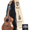 Kit de Inicio Oficial Kala Learn to Play Ukulele Tenor,