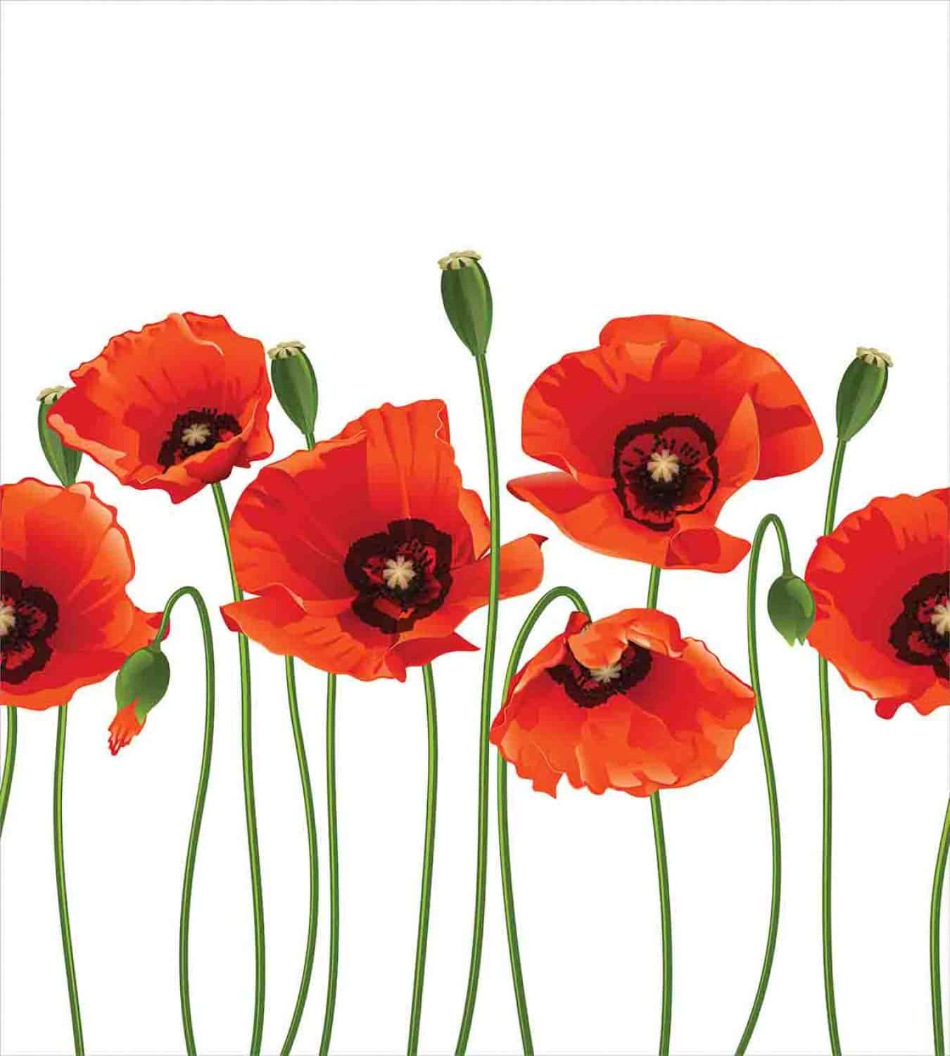 Juego de Funda Nórdica Floral Ambesonne, Amapolas de la - Imagen 3