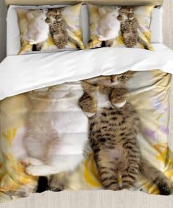 Juego de Funda Nórdica Divertida Ambesonne, Hermanos Gatos