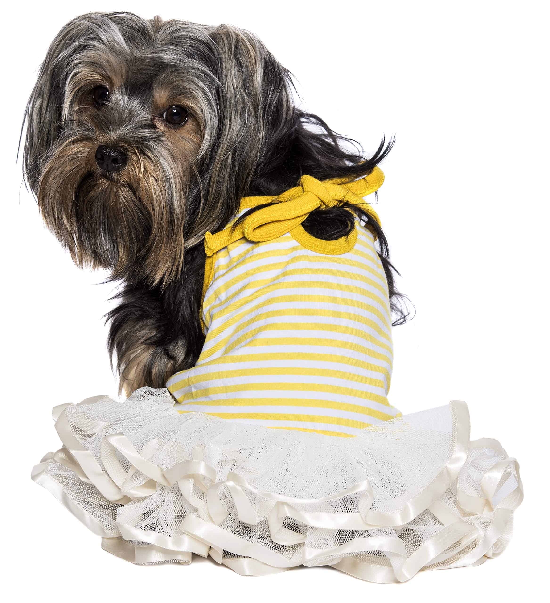 Vestido Bailarina Parisian Pet para Perros Ropa para Gatos - Imagen 3