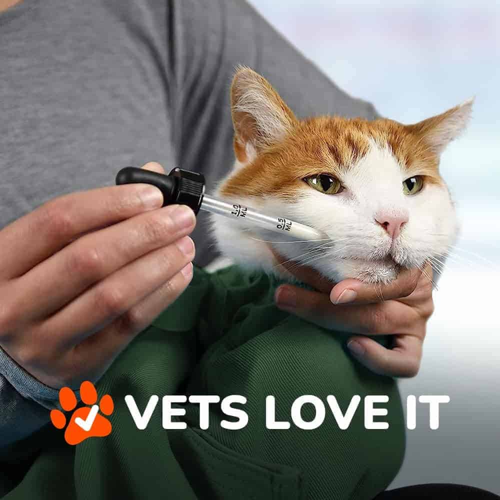 Transportadora Cat-in-the-Bag Cozy Comfort - Verde Pequeña, - Imagen 6