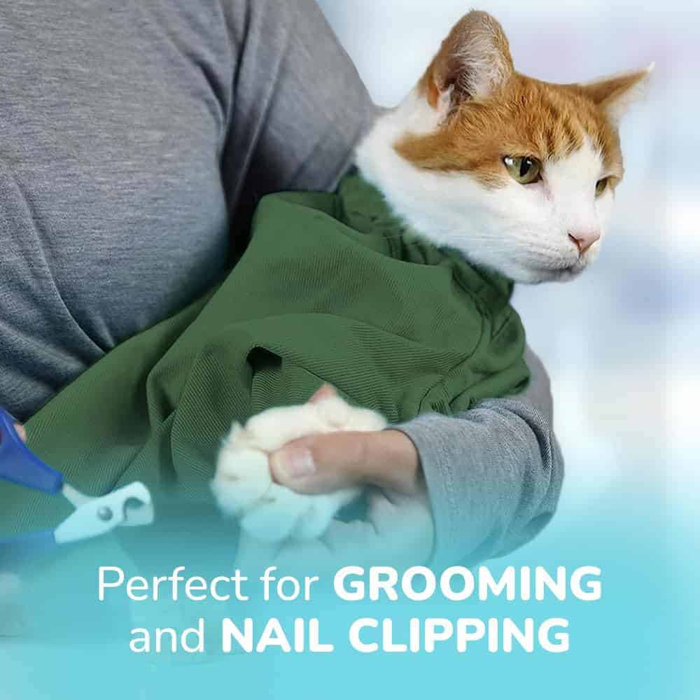 Transportadora Cat-in-the-Bag Cozy Comfort - Verde Pequeña, - Imagen 5