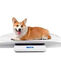 Báscula Digital para Mascotas MINDPET-MED, Báscula para