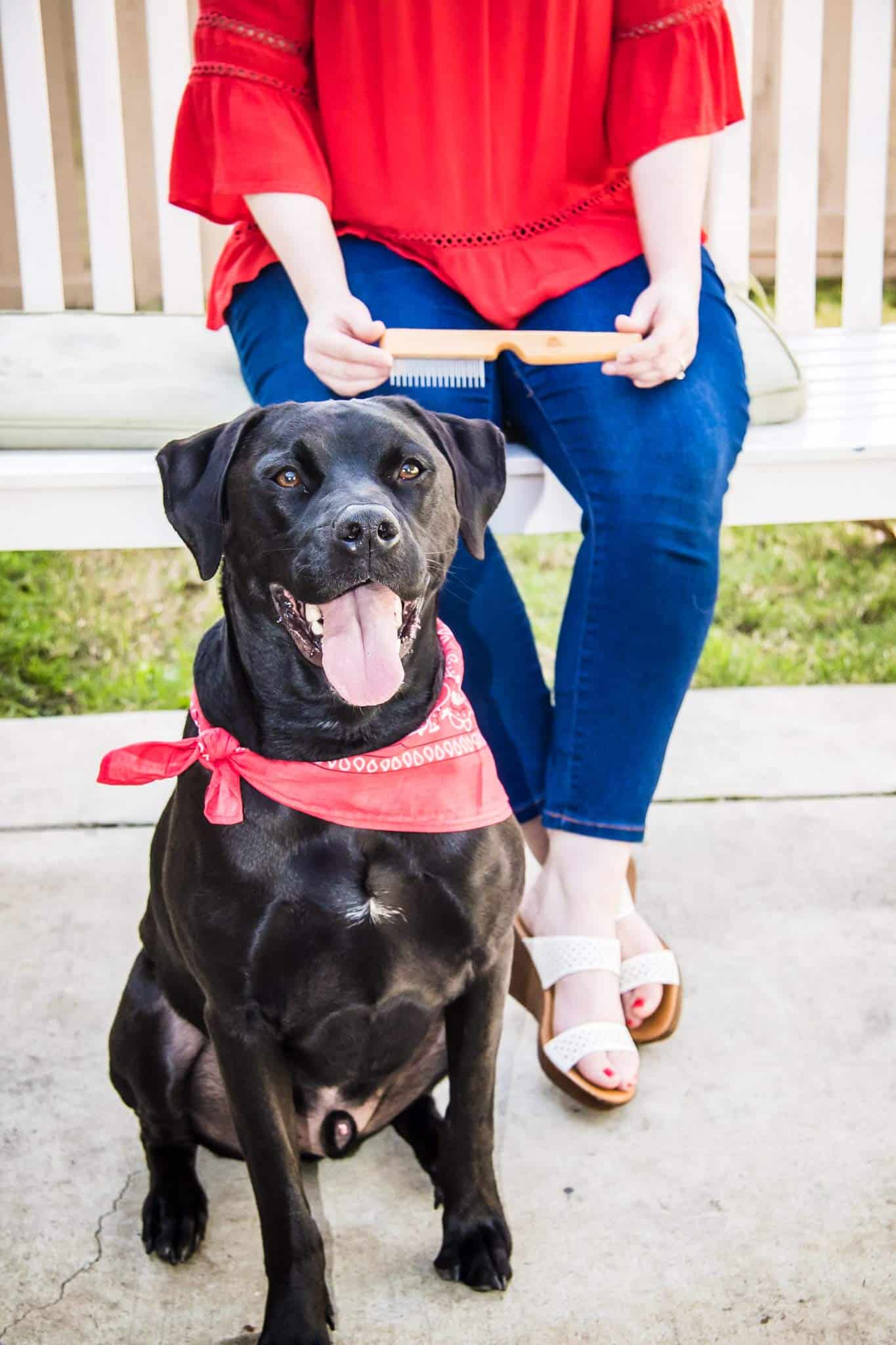 Peine desenredante AtEase Accents para pelo enmarañado y - Imagen 10