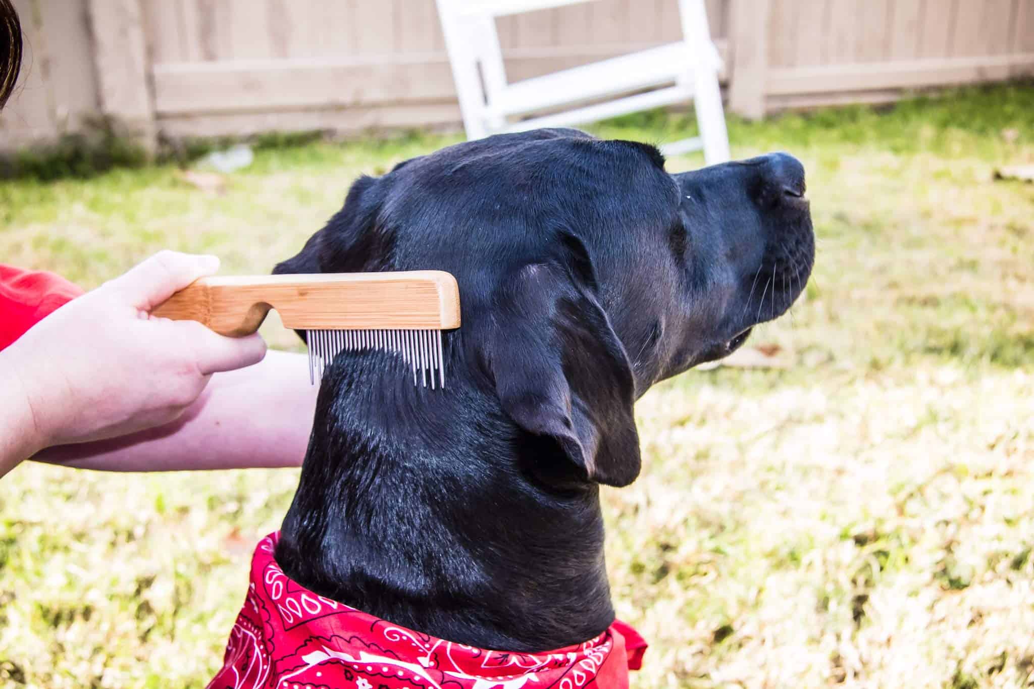 Peine desenredante AtEase Accents para pelo enmarañado y - Imagen 8