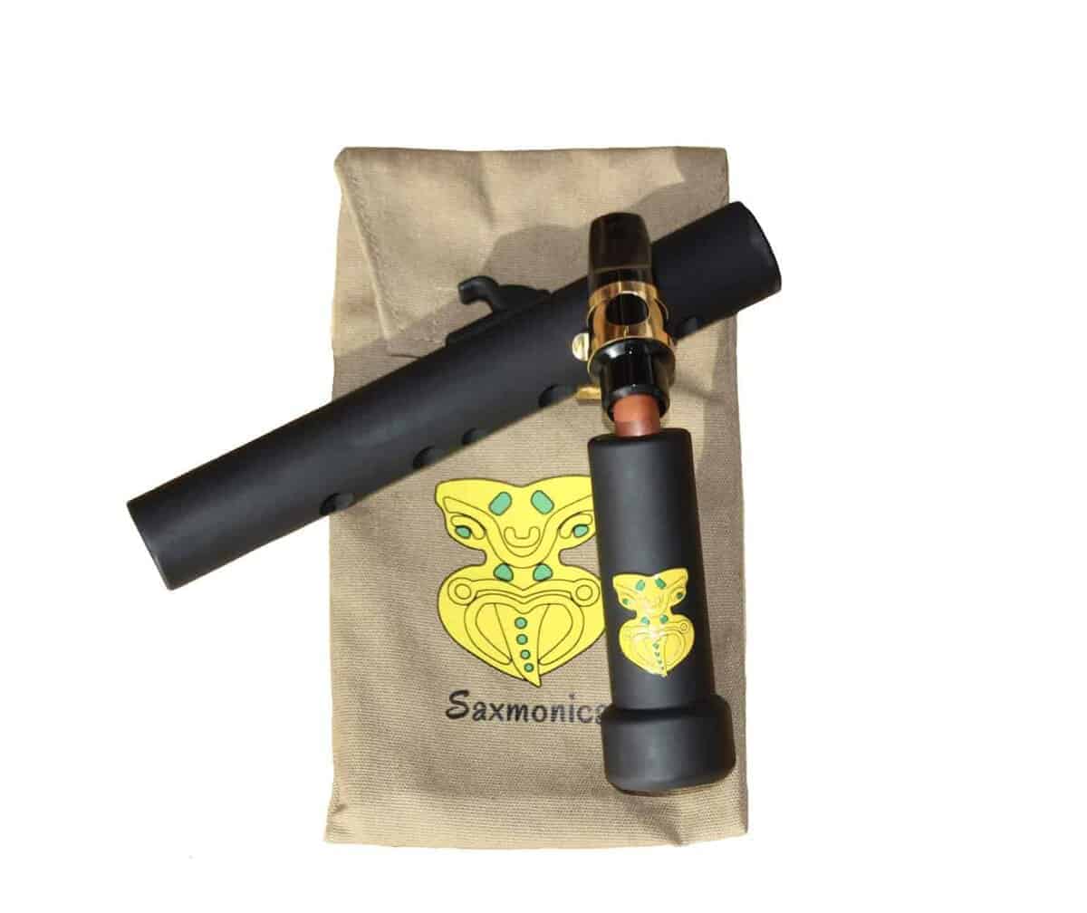 Sax en movimiento, híbrido de saxofón/armónica | - Imagen 6