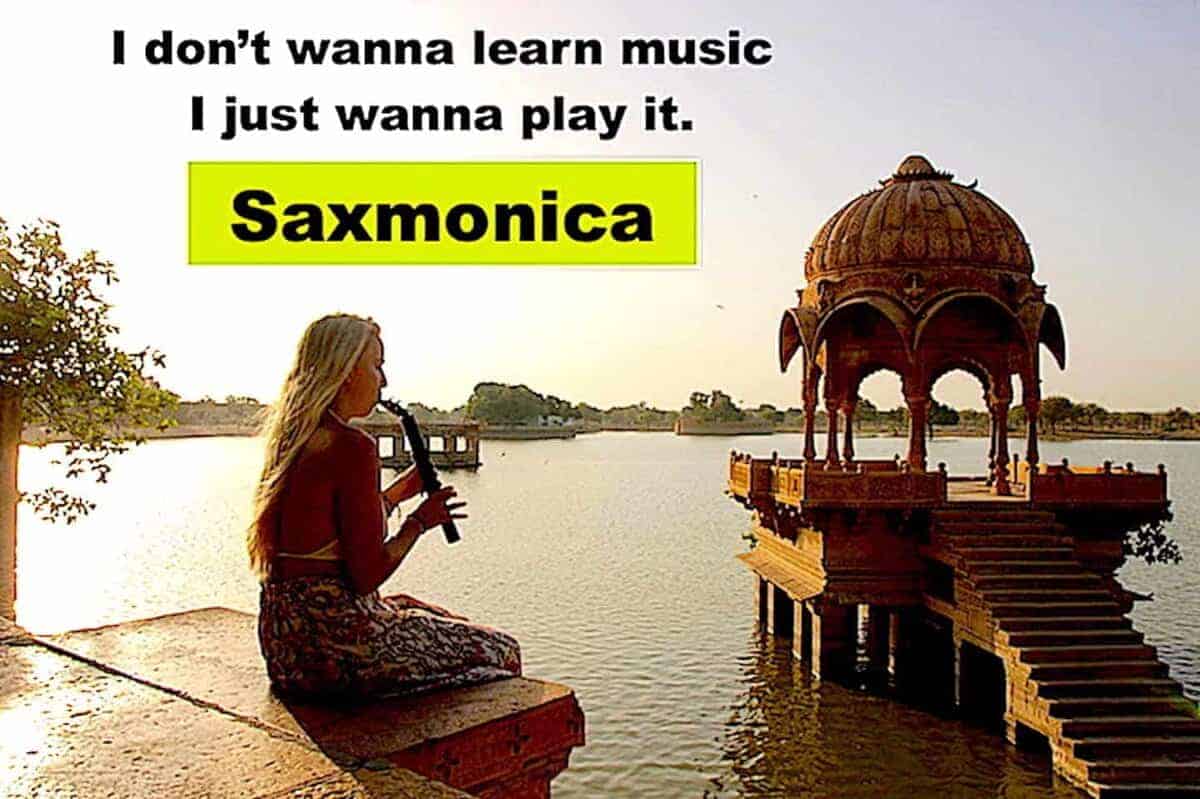 Sax en movimiento, híbrido de saxofón/armónica | - Imagen 8