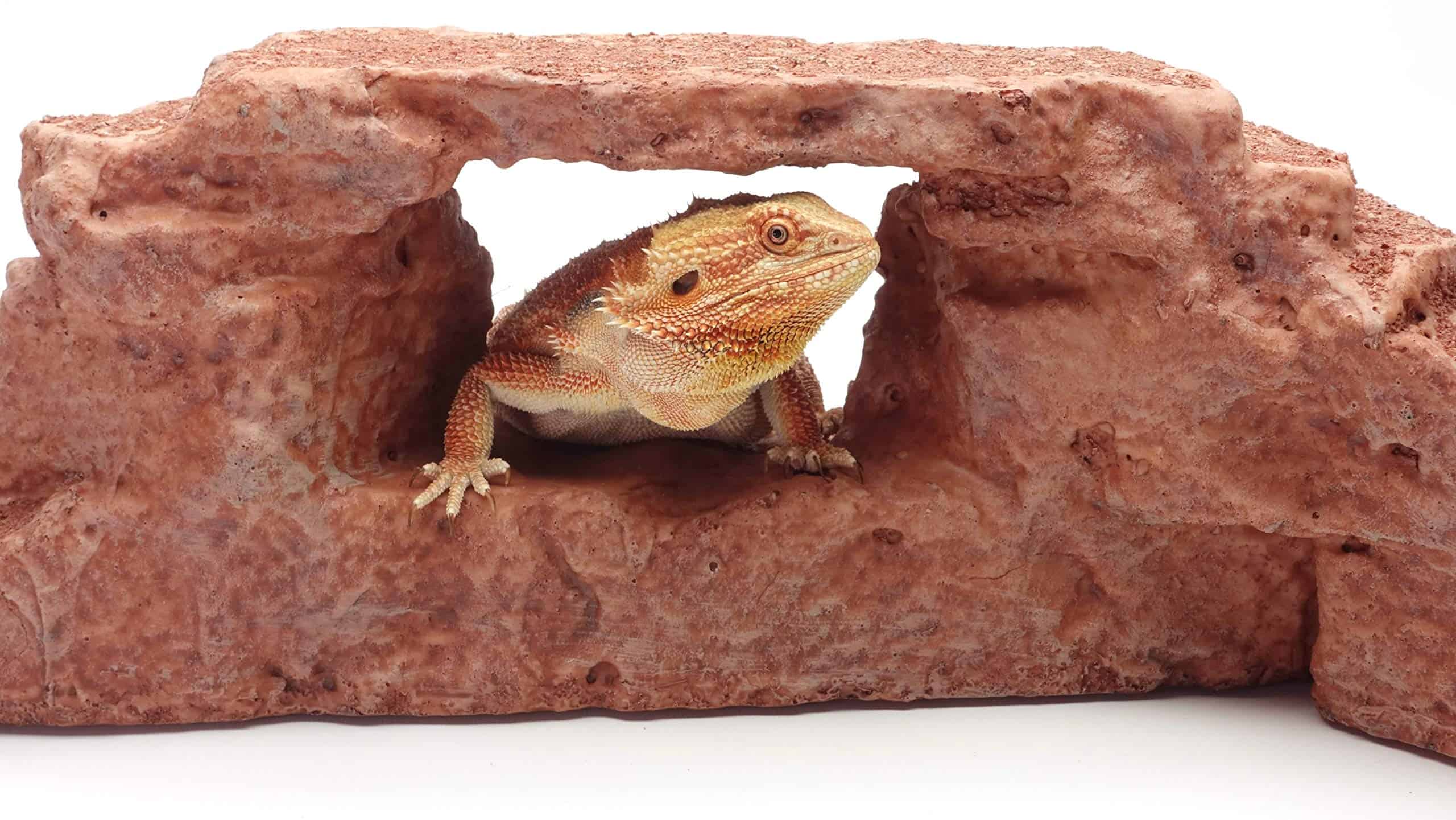 Arco de Roca, Marrón Rojizo, Accesorio para Hábitat de - Imagen 9