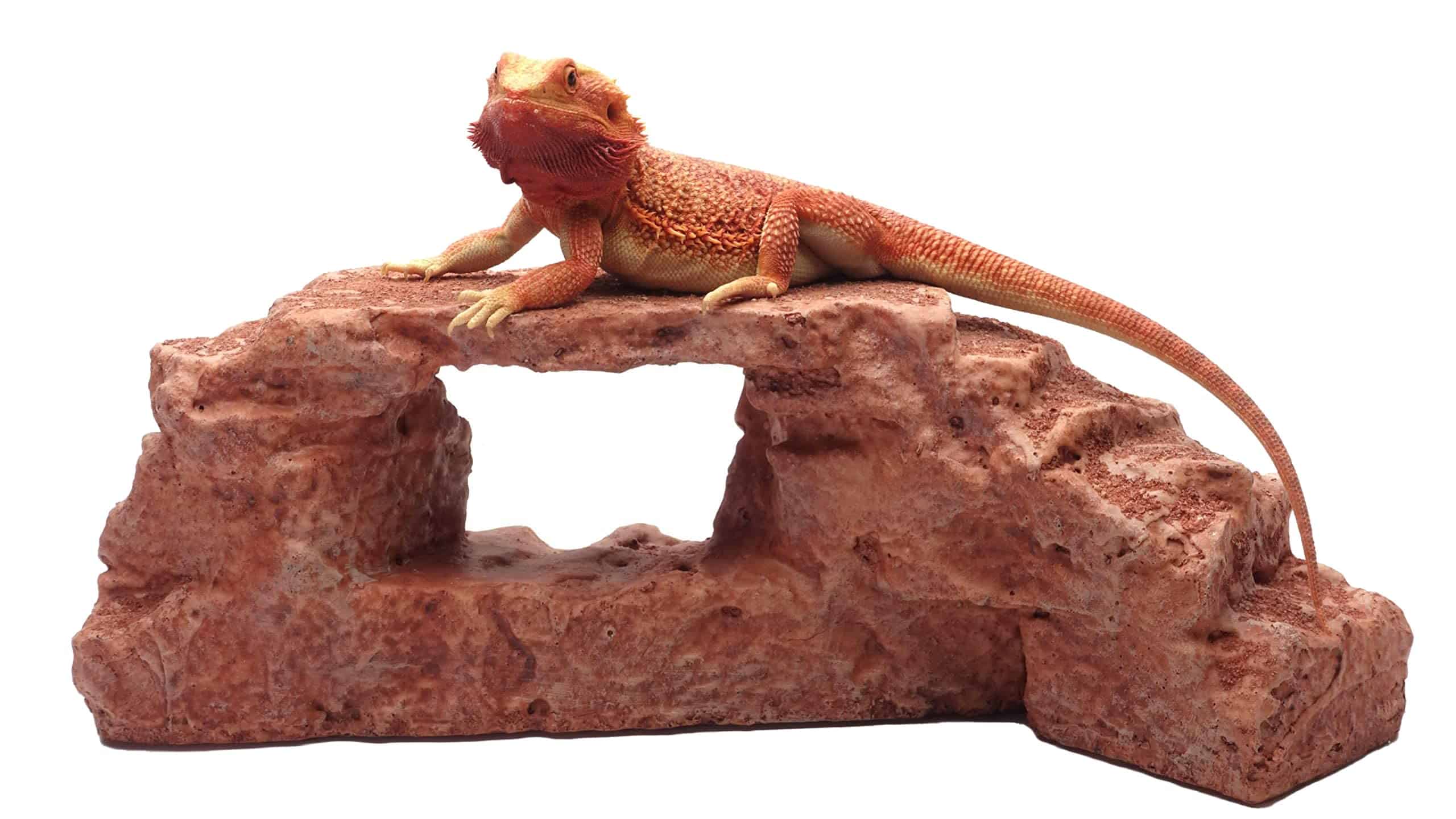 Arco de Roca, Marrón Rojizo, Accesorio para Hábitat de - Imagen 10