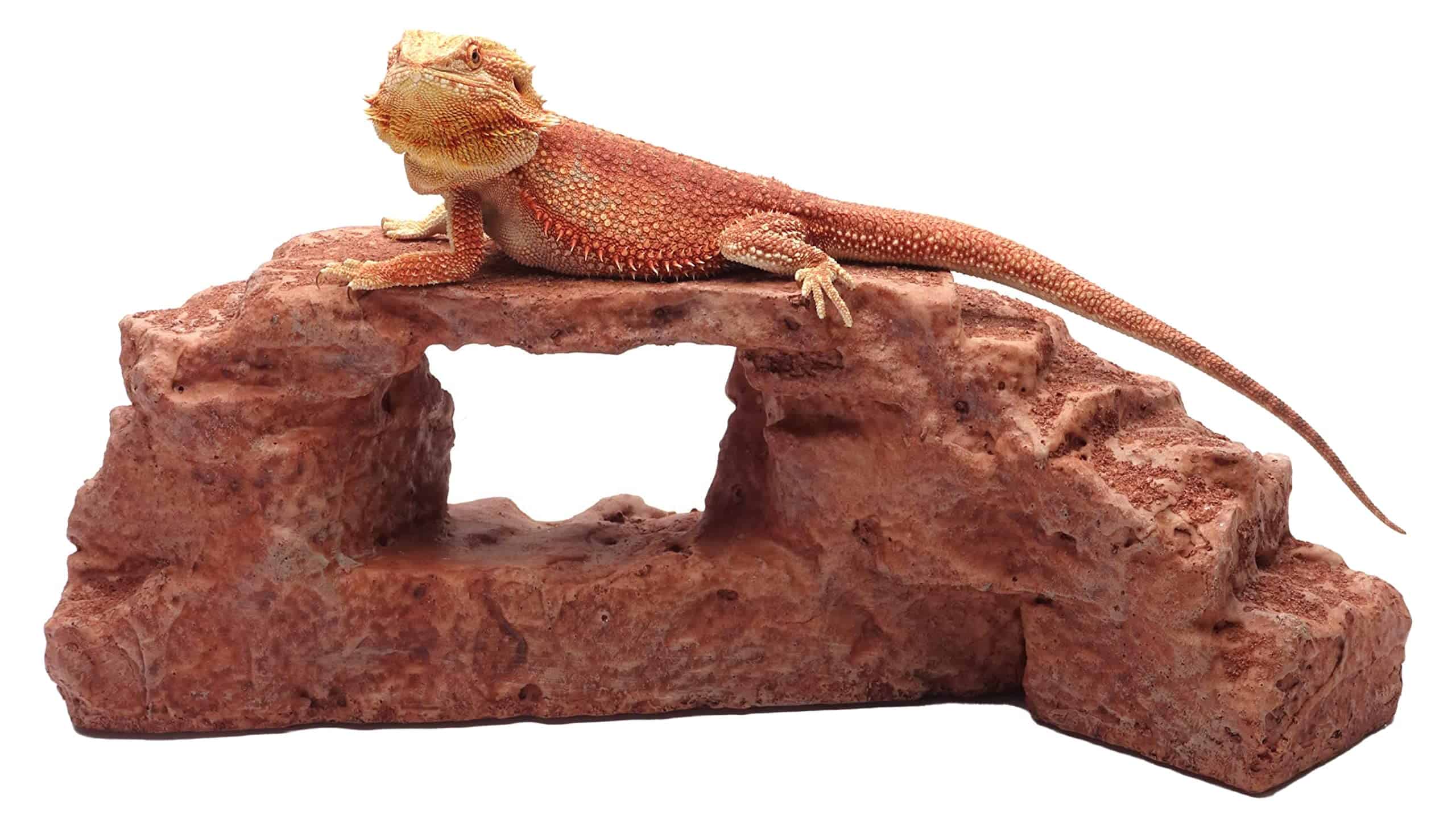 Arco de Roca, Marrón Rojizo, Accesorio para Hábitat de