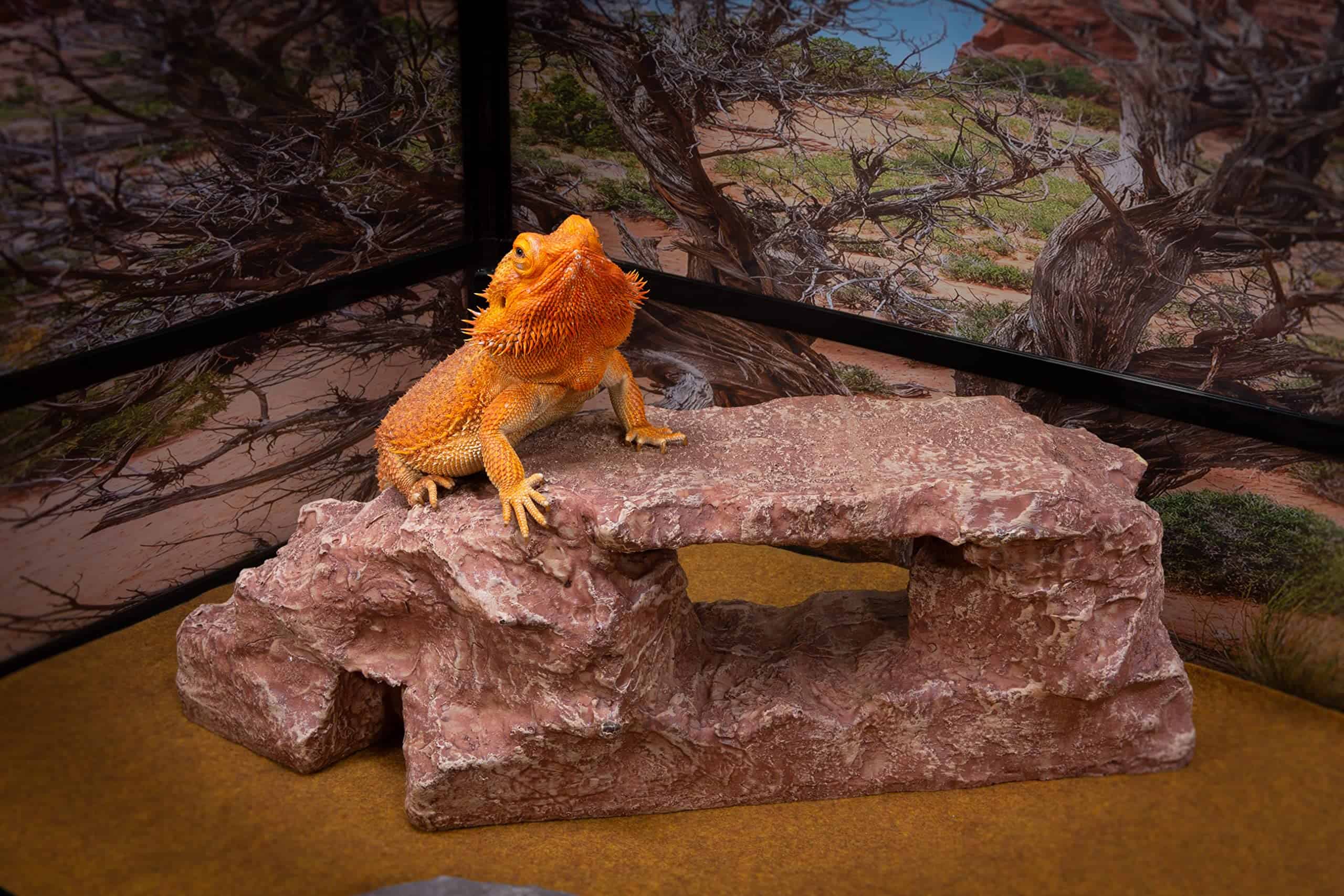 Arco de Roca, Marrón Rojizo, Accesorio para Hábitat de - Imagen 8