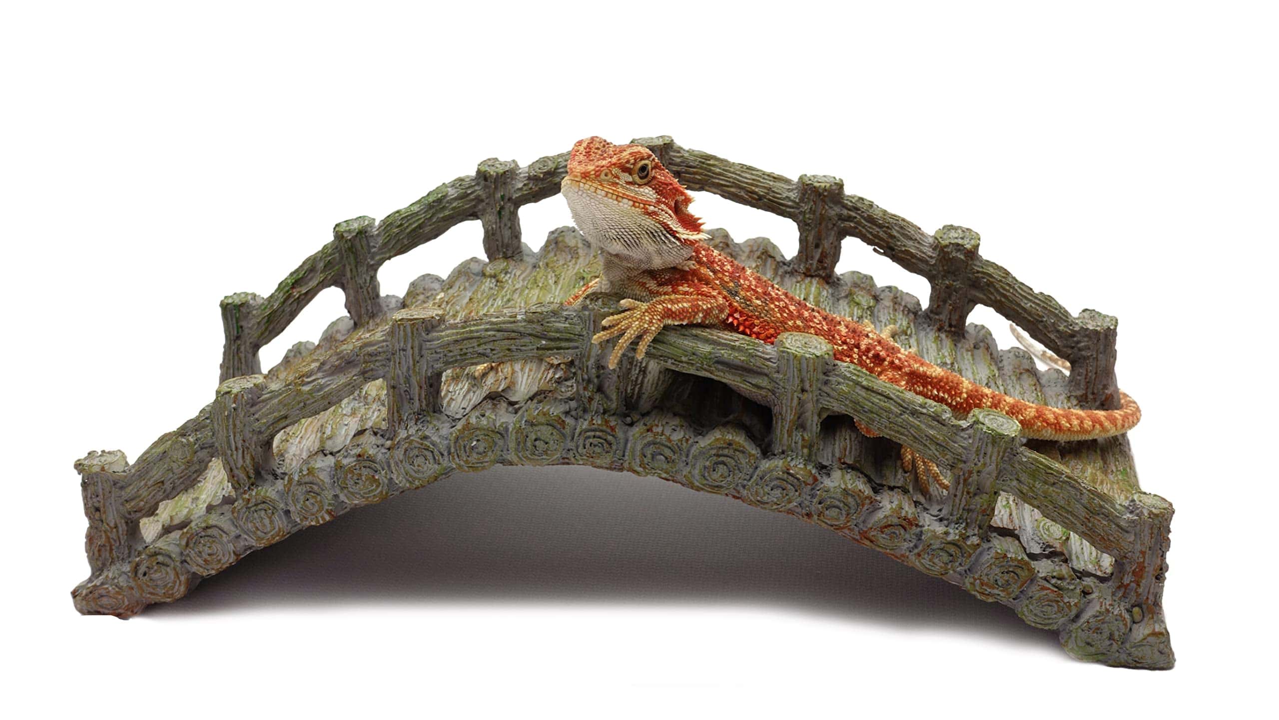 Puente para Reptiles, Gris a la Deriva, Accesorio para - Imagen 7