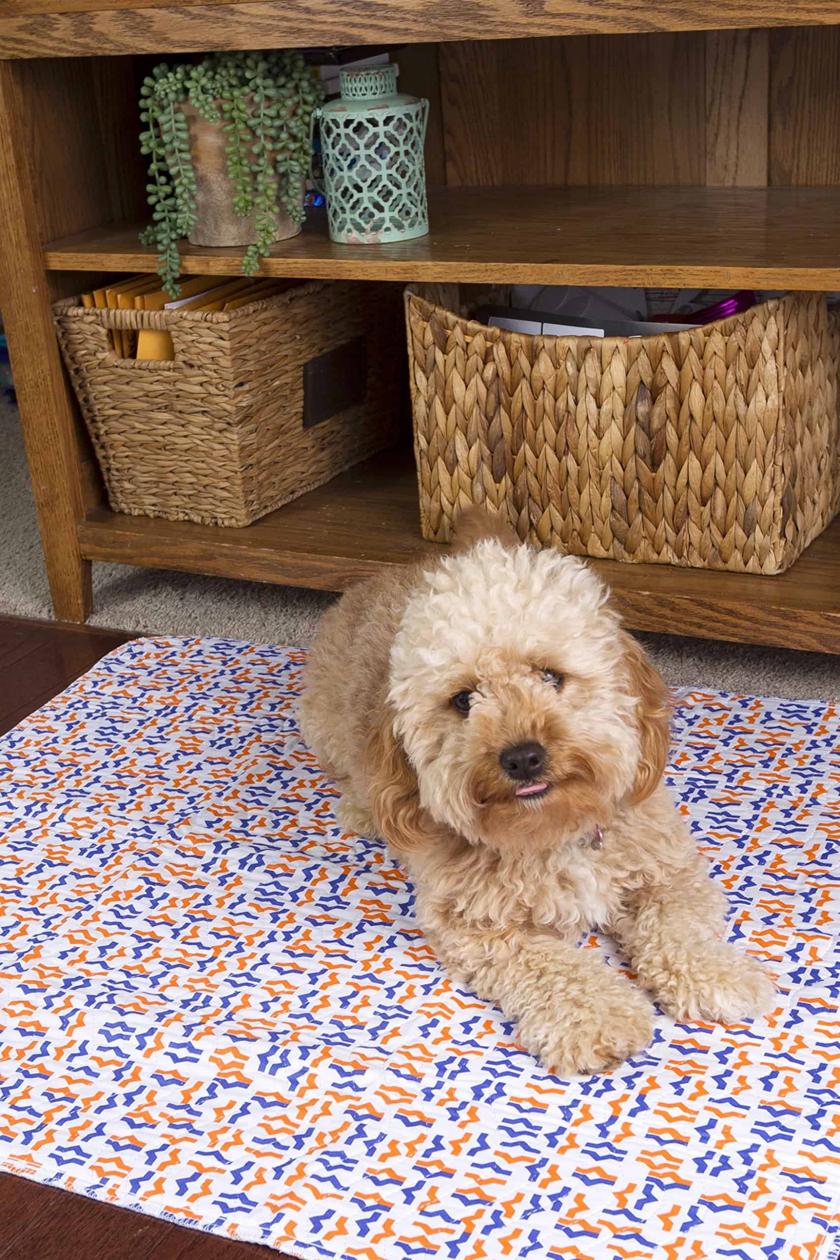 2-Pack de Almohadillas Impermeables para Cama/Corral/Playa - Imagen 9