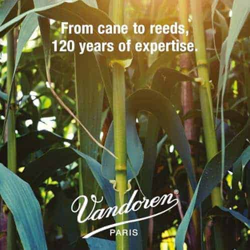 Vandoren Juno Bb, Caja de 25, 2 Clarinet Reeds (JCR01225) - Imagen 5