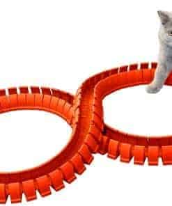 Juego de Pista y Pelotas para Gatos Magic Cat (Pistas