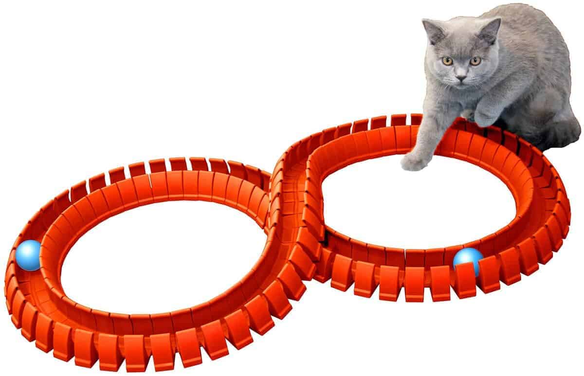 Juego de Pista y Pelotas para Gatos Magic Cat (Pistas