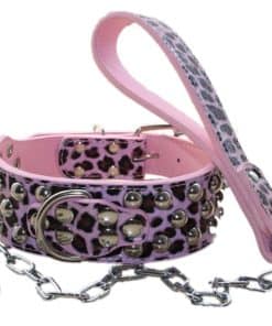 Collar de perro de cuero de 2 pulgadas de ancho con