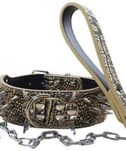 Collar de cuero de 2 pulgadas de ancho con remaches