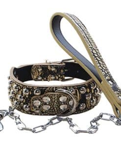 Conjunto de collar y correa para perros de cuero de 2