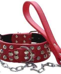 Collar de Perro de Cuero con Tachuelas de 2 Pulgadas +