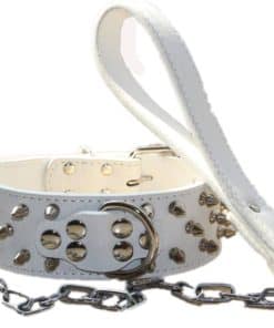 Set de Collar y Correa de Cuero con Tachuelas y Espárragos