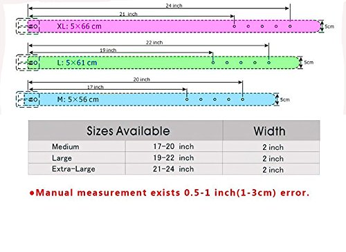 Collar de Perro de Cuero Ancho de 2 pulgadas con 3 Filas de - Imagen 6