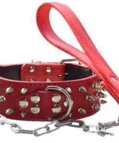 Collar de perro de cuero con picos y tachuelas de 2