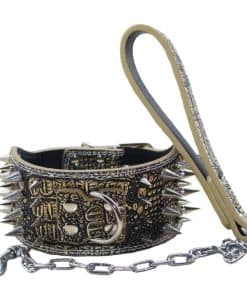 Collar para Perro de Cuero Ancho de 3 Pulgadas con 4