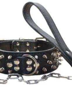 Collar de Perro de Cuero con Tachuelas y Púas de 2 Pulgadas