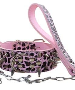 Collar de Cuero con Remaches Afilados de 2 Pulgadas de