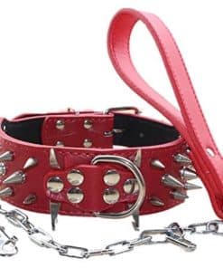 Collar de perro de cuero de 2 pulgadas de ancho con