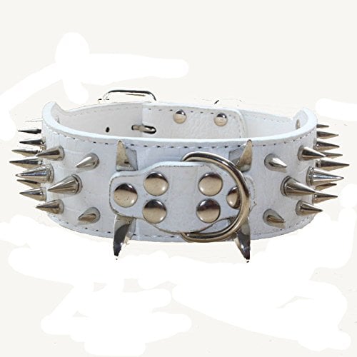 Collar de perro de 2 pulgadas de ancho con remaches - Imagen 3