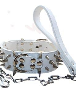 Collar de perro de 2 pulgadas de ancho con remaches