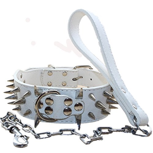 Collar de perro de 2 pulgadas de ancho con remaches