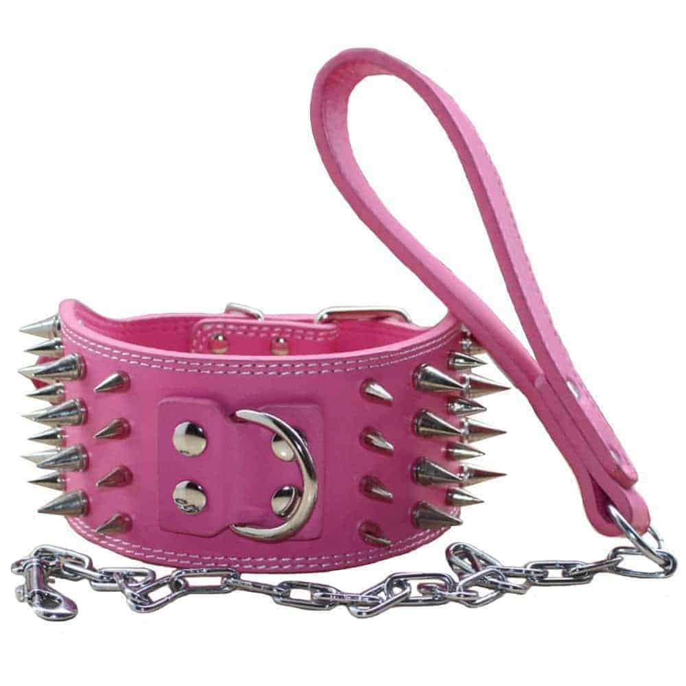 Collar de Perro de Cuero de 3 Pulgadas de Ancho con 4 Filas