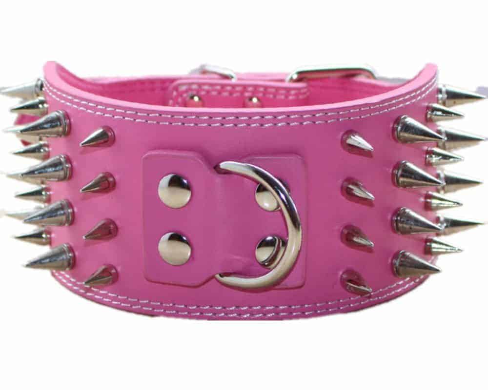 Collar de Perro de Cuero de 3 Pulgadas de Ancho con 4 Filas - Imagen 3