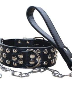Collar de Perro de Cuero con Tachuelas de 2 Pulgadas +