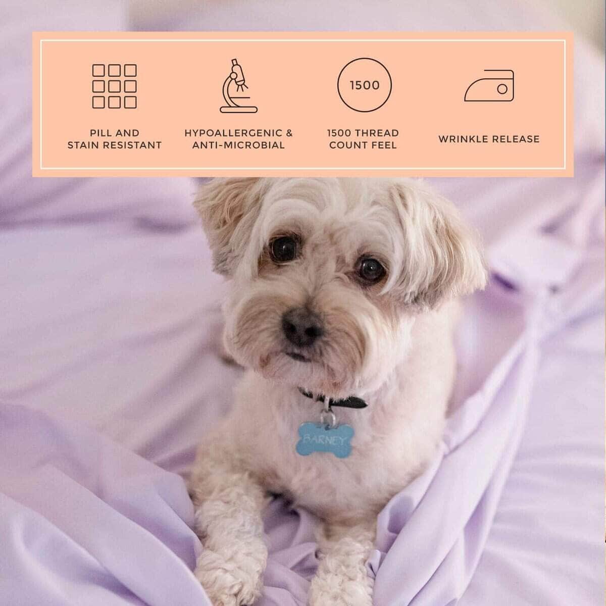 Juego de sábanas PeachSkinSheets Lavender Mist - Suavidad - Imagen 5