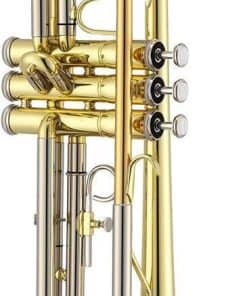 Trompeta Júpiter JTR-700 Si Bemol de Latón Lacado