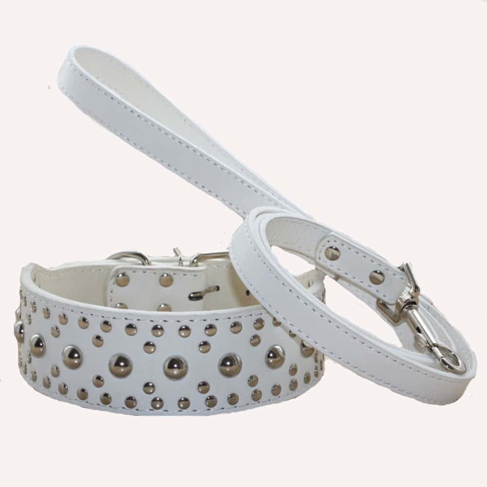 Collares de Perro con Tachuelas de haoyueer 2" Ancho Collar