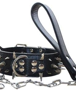 Collar de Cuero Haoyueer de 2 pulgadas de Ancho con